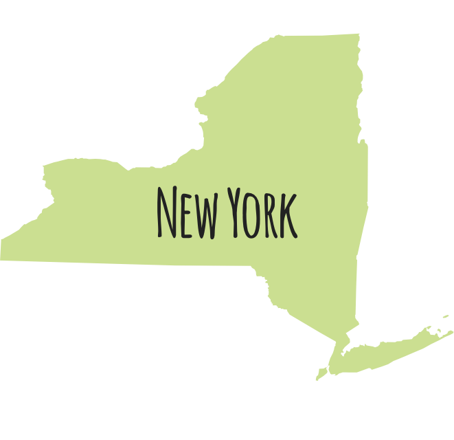 Outline map of New York state filled with light green color and labeled with "New York" in large, dark letters.